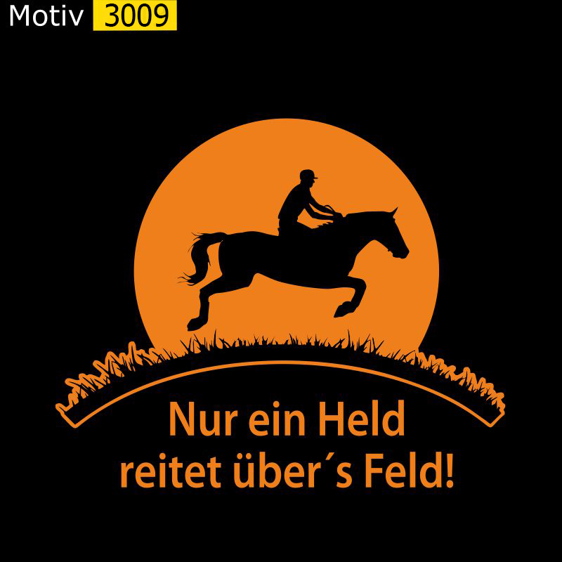 Motiv 3009 - Nur ein Held reitet übers Feld